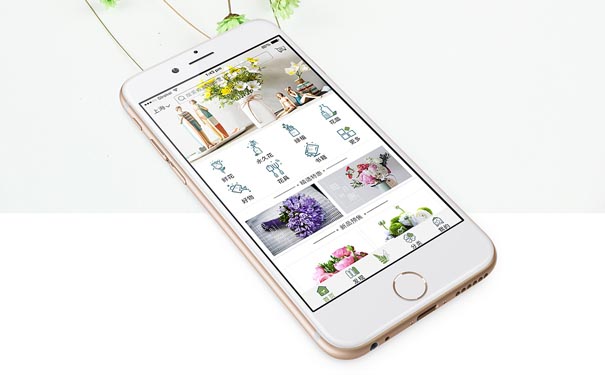 小程序开发商城app
